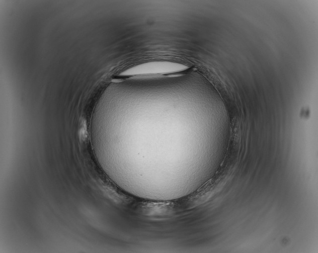 X0000099570089200806061613