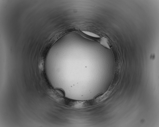 X0000099570090200806061613