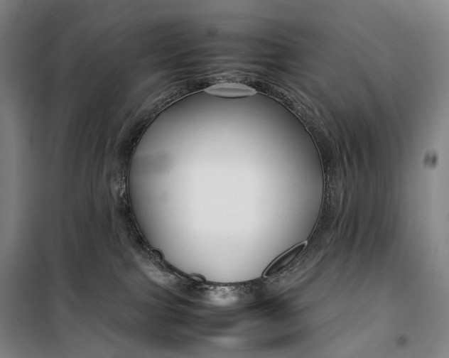 X0000099570091200806061613