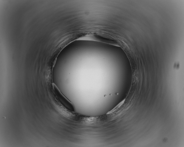 X0000099570092200806061613