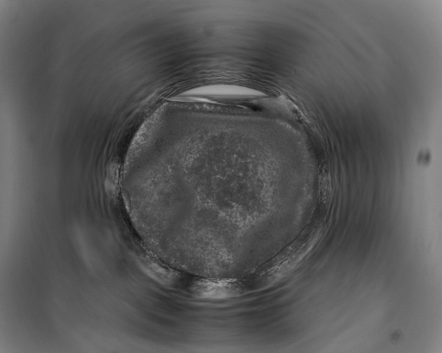 X0000099570093200806061613