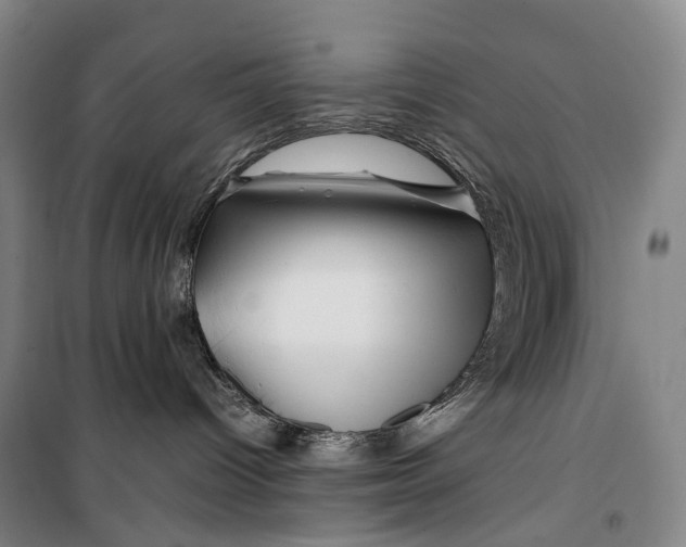 X0000099570096200806061613