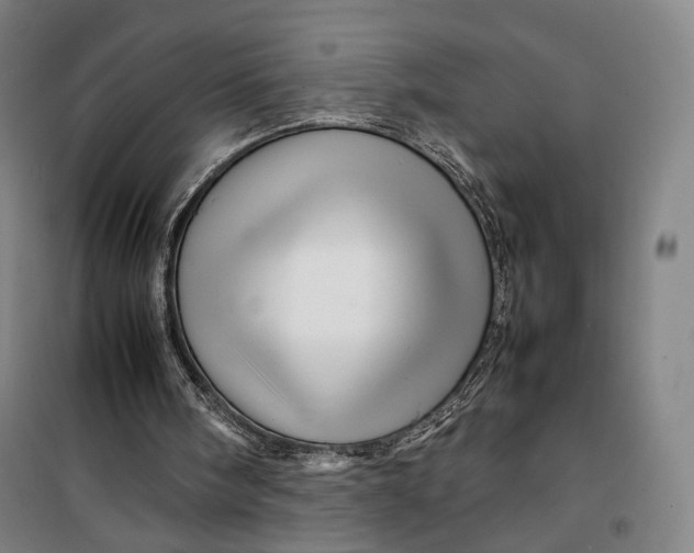X0000099570098200806061613