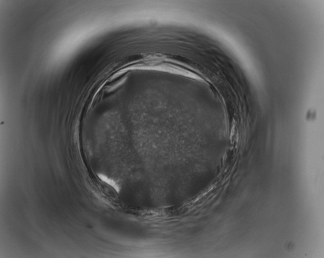 X0000099570099200806061613