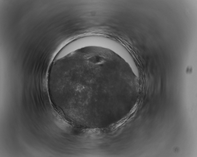 X0000099570100200806061613