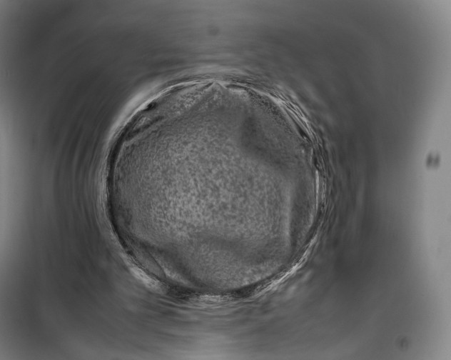 X0000099570101200806061613