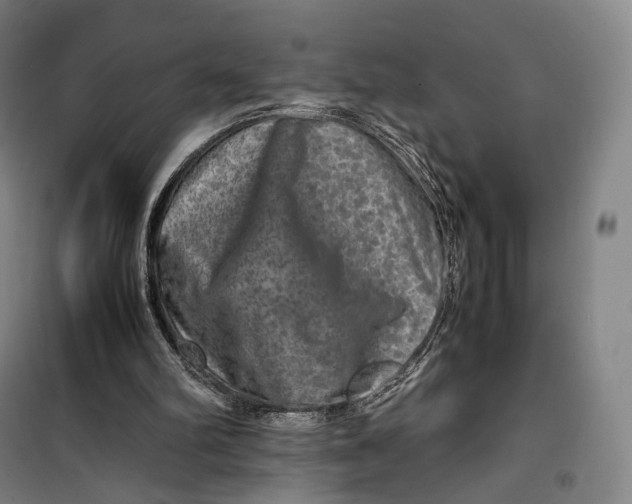X0000099570102200806061613