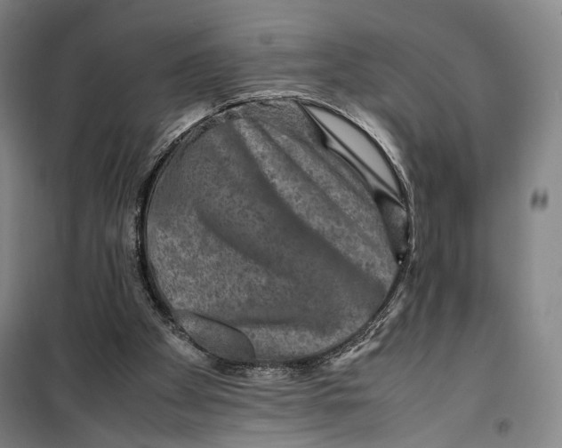 X0000099570105200806061613