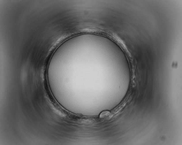 X0000099570106200806061613