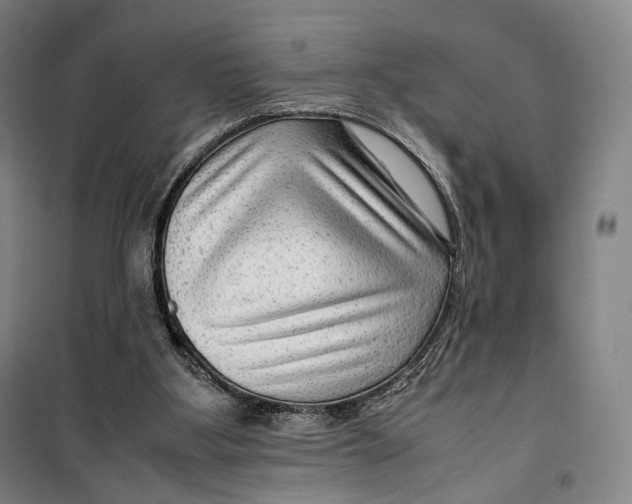 X0000099570107200806061613