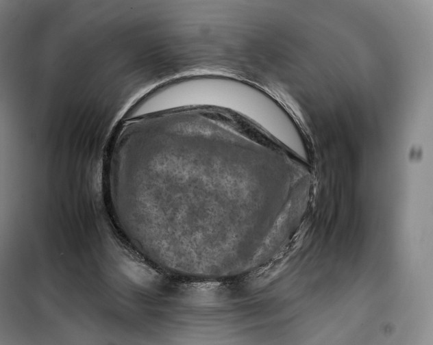 X0000099570108200806061612