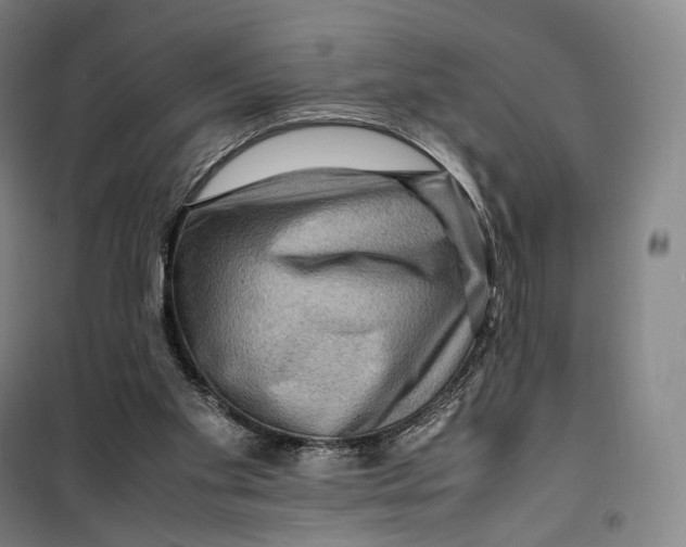 X0000099570109200806061612