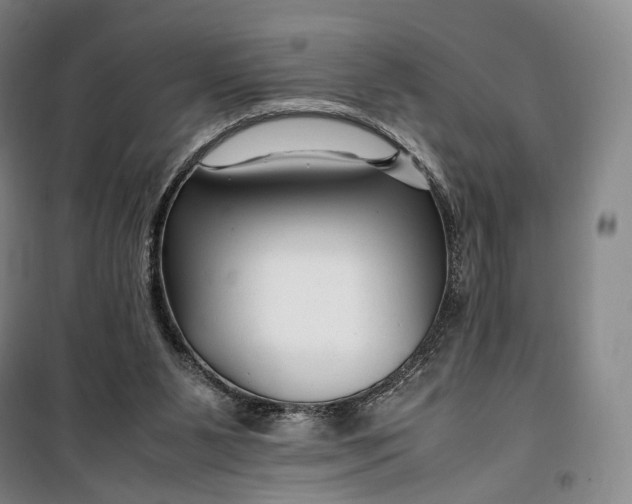 X0000099570111200806061612