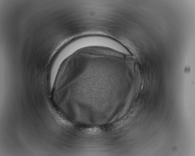 X0000099570112200806061612