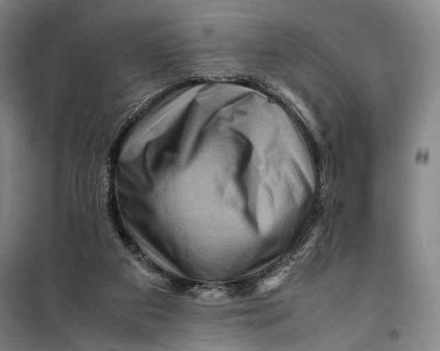 X0000099570113200806061612