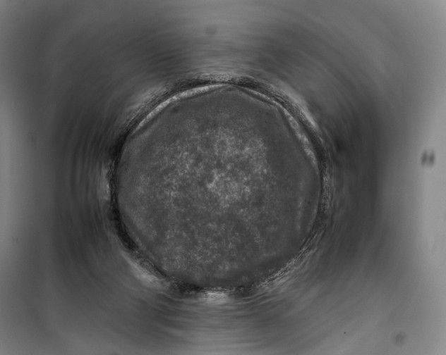 X0000099570114200806061612