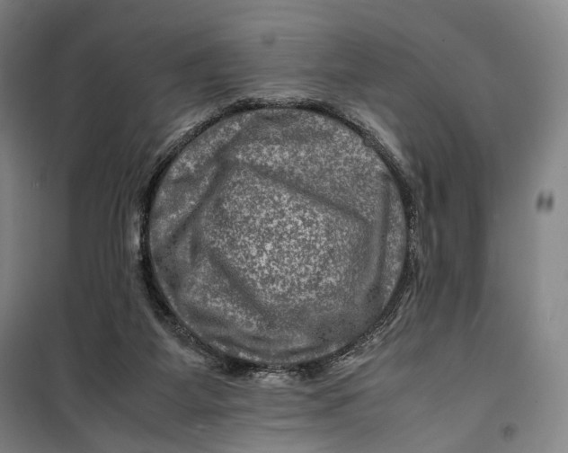 X0000099570115200806061612