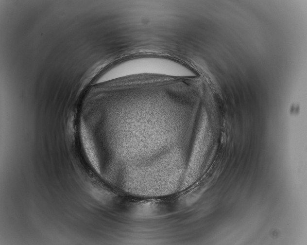 X0000099570116200806061612
