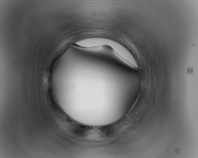 X0000099570119200806061612