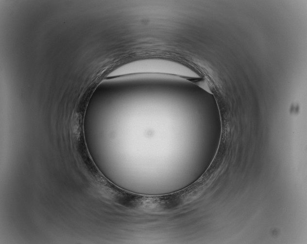 X0000099570121200806061612