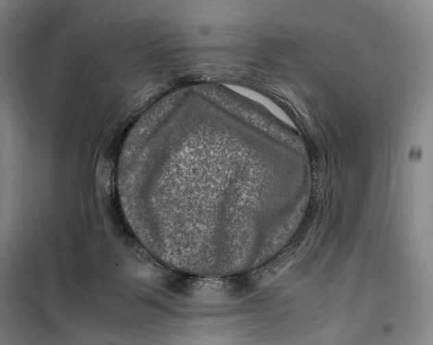 X0000099570123200806061612
