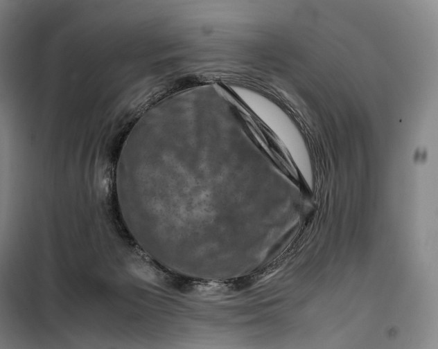 X0000099570125200806061612