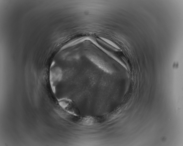 X0000099570127200806061612