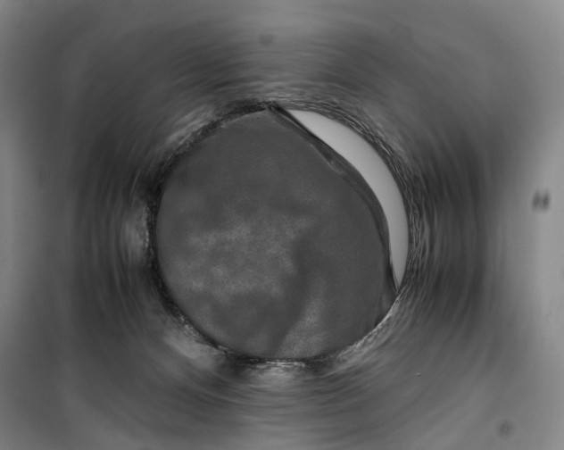 X0000099570128200806061612