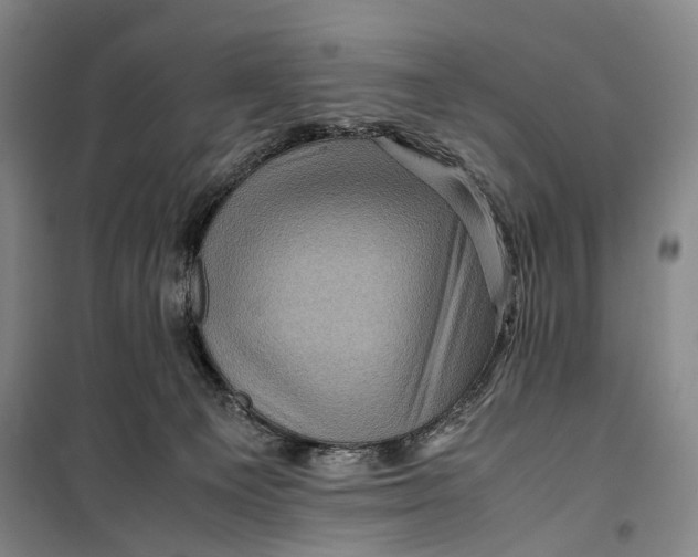 X0000099570129200806061612