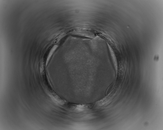 X0000099570130200806061612