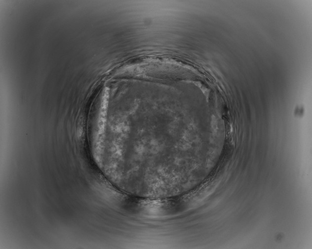 X0000099570131200806061612