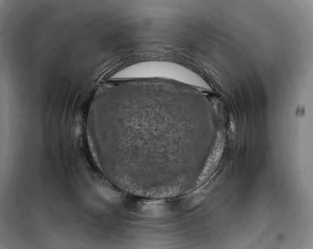 X0000099570132200806061612