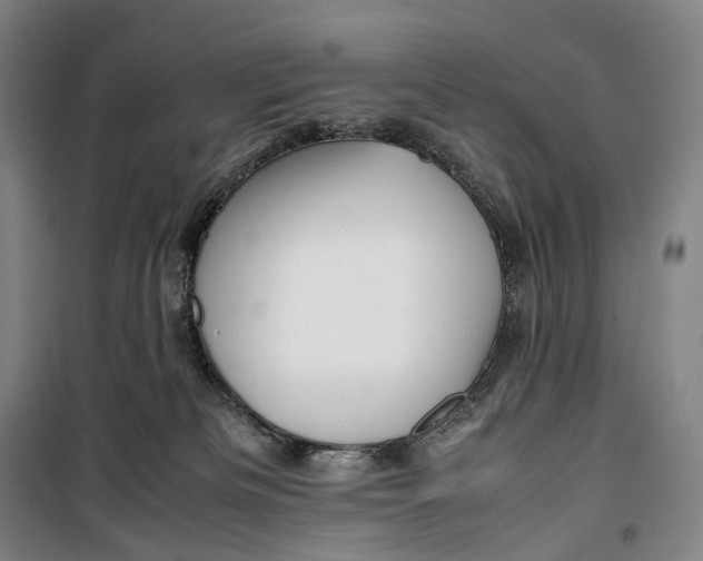 X0000099570133200806061612