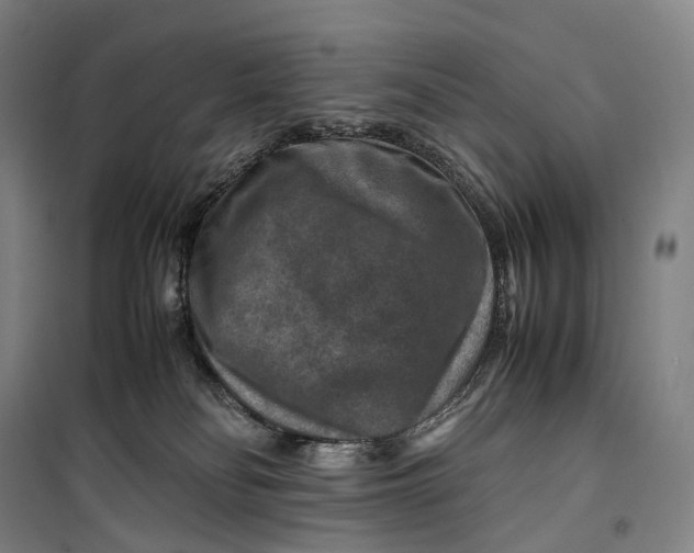 X0000099570134200806061612