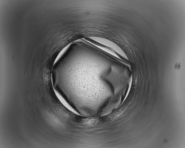 X0000099570135200806061612