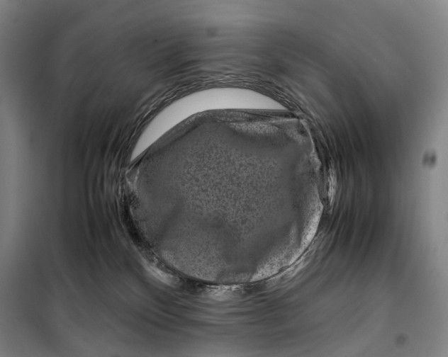 X0000099570136200806061612