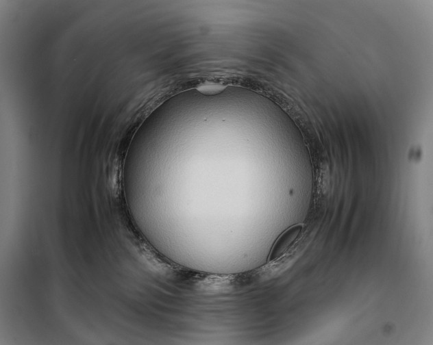 X0000099570138200806061612