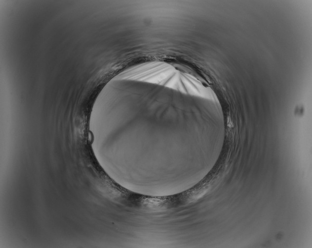 X0000099570139200806061612