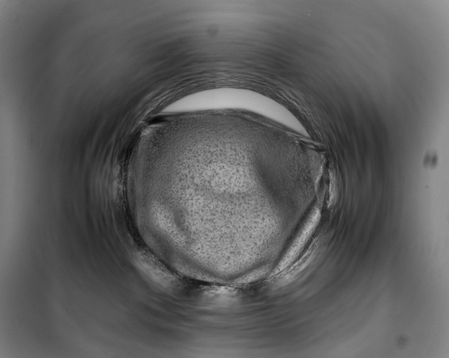X0000099570140200806061612