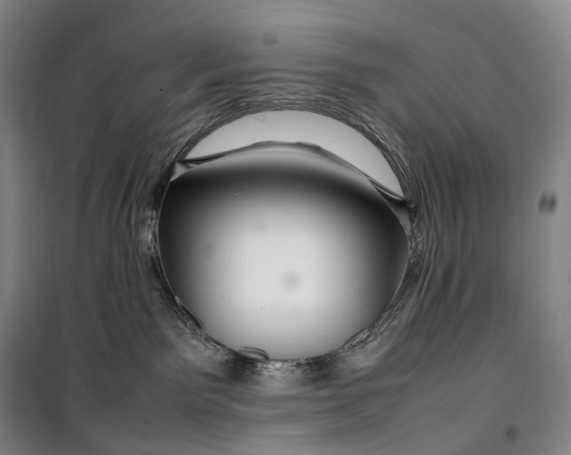 X0000099570141200806061612