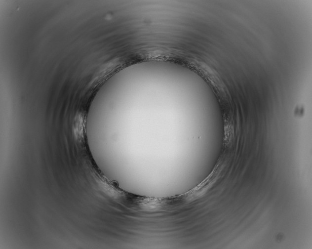 X0000099570142200806061612