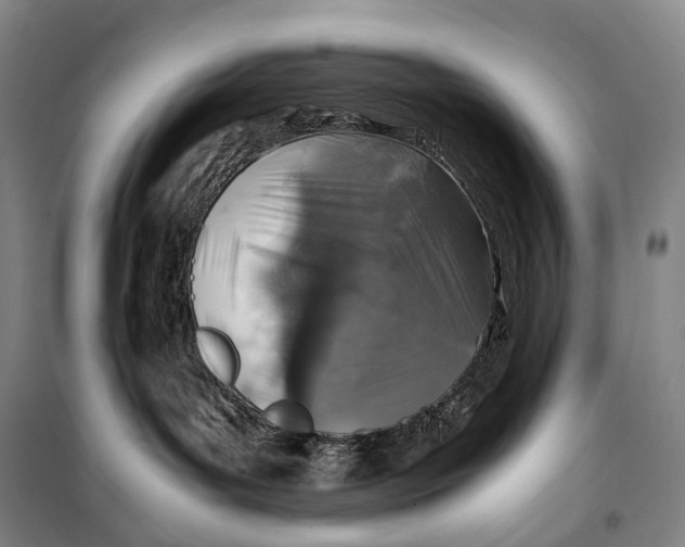X0000099570143200806061612