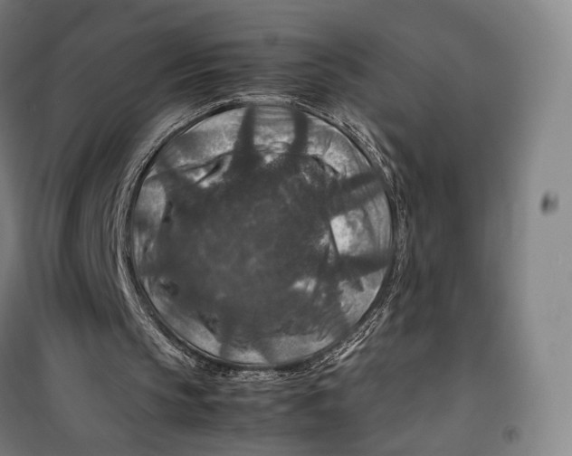 X0000099570145200806061611