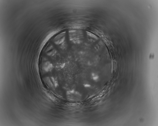 X0000099570147200806061611