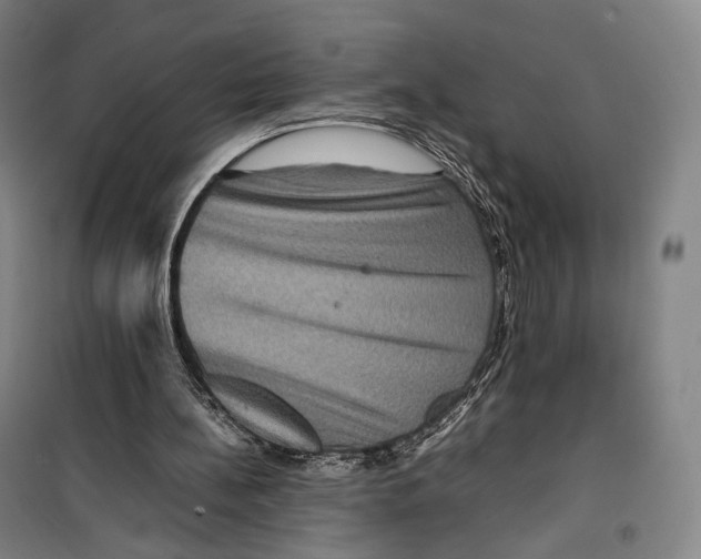 X0000099570148200806061611