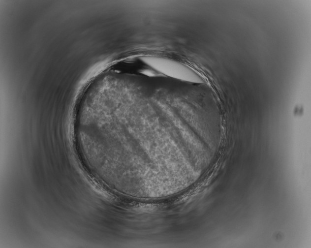 X0000099570149200806061611