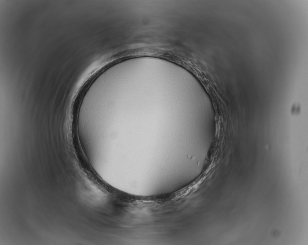 X0000099570150200806061611