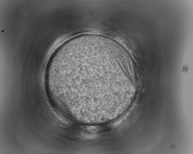 X0000099570151200806061611