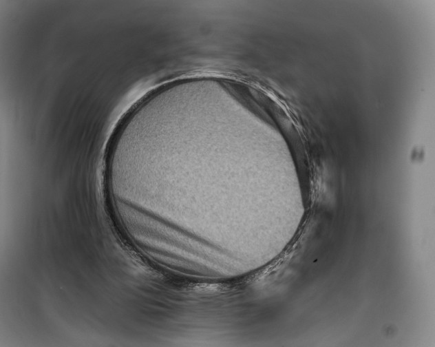 X0000099570152200806061611