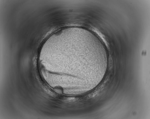 X0000099570153200806061611